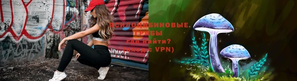 дмт Дмитровск