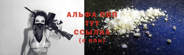 дмт Дмитровск