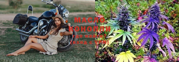 дмт Дмитровск