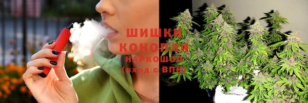 дмт Дмитровск