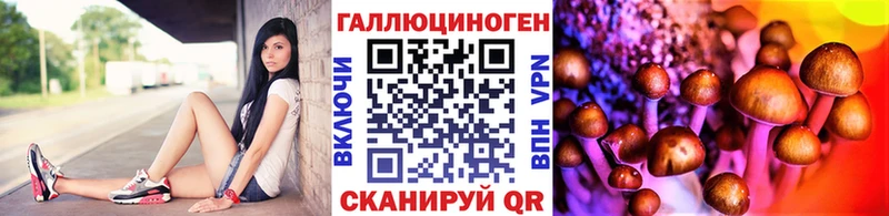 Псилоцибиновые грибы Magic Shrooms  Королёв 